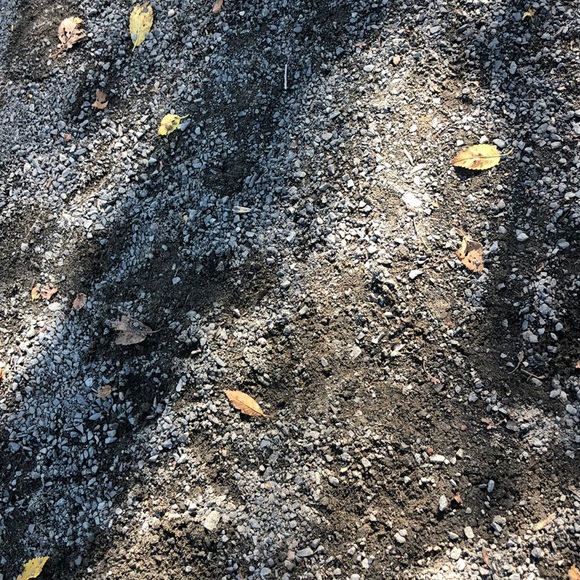 Meet your Posher, Madeline - Picture 1 of 1